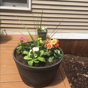 Meet your Posher, Suzzane